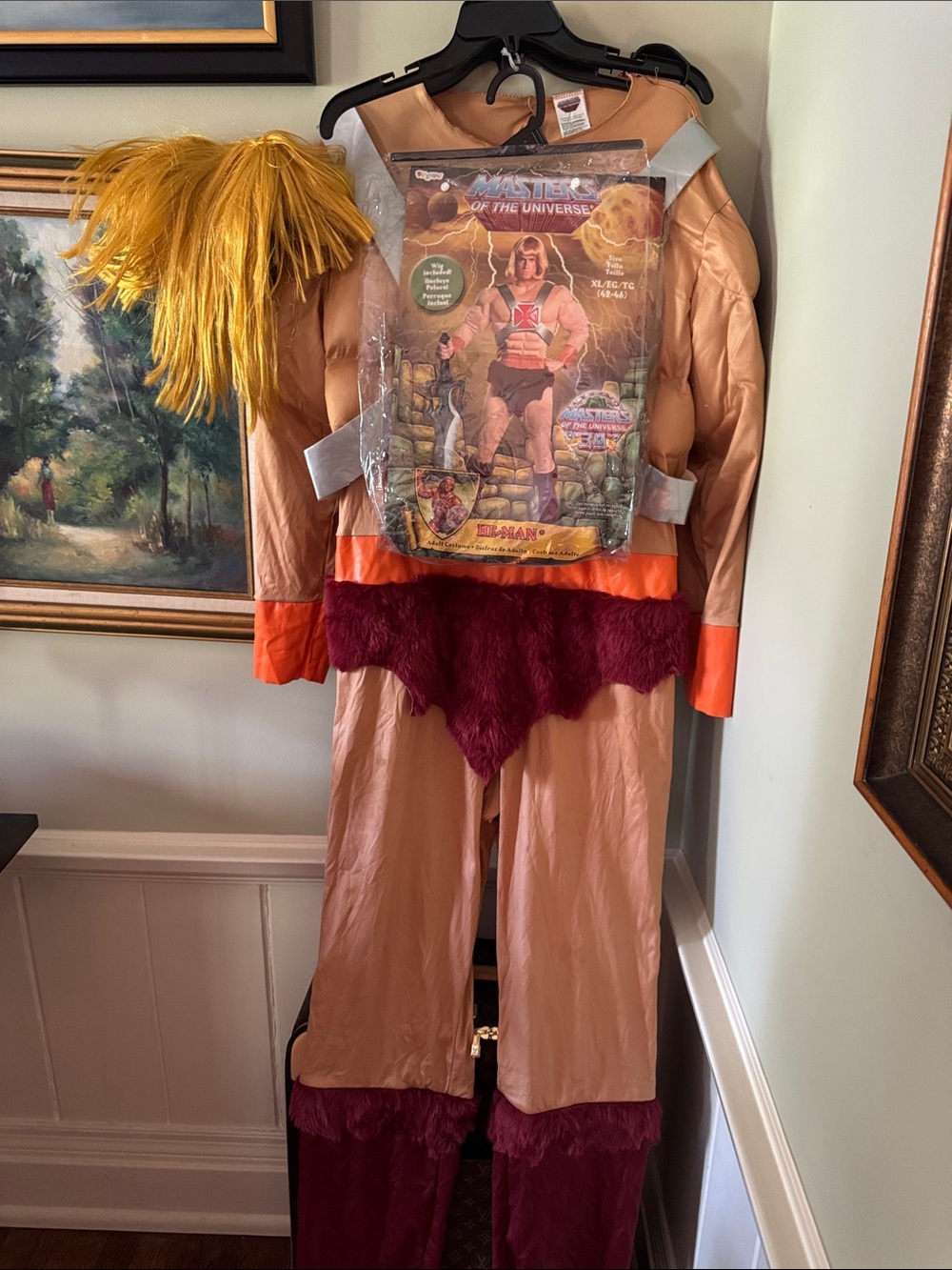Vtg He-Man Adult XL Masters of the Universe 30th Muscle Men’s Halloween Costume